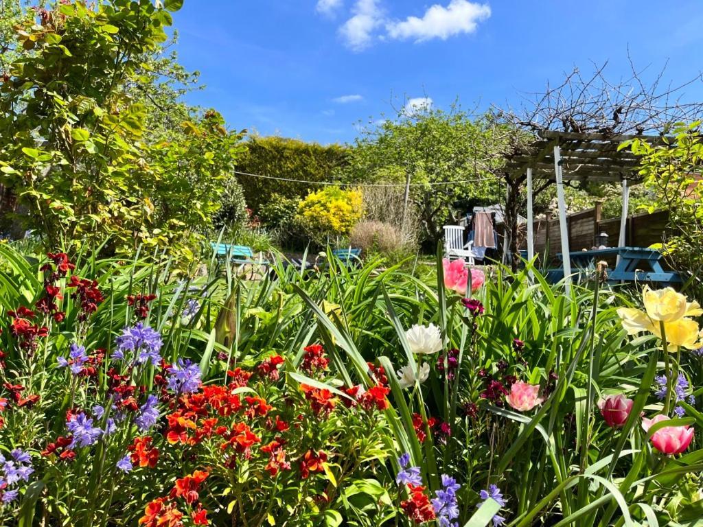 Rie'S Retreat - The Emerald Room Glastonbury Esterno foto